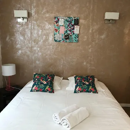 Appartement - Vigan Albi