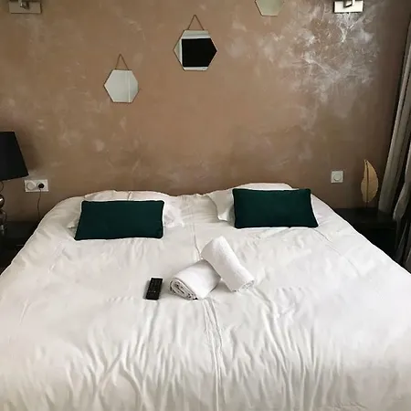 Appartement - Vigan Albi